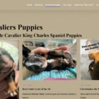 The "Current Puppies" page on the Elfore Cavaliers website represents a harmonious fusion of functionality and user-centric design, enabling the client to effortlessly update content through a custom-built WordPress plugin. This innovative solution underscores the pivotal role of accessibility in web development, ensuring the website remains an up-to-date reflection of available puppies without requiring technical expertise from the breeder. Here’s an insightful look into how this page is structured and the underlying technology facilitating its ease of use: **Custom Plugin Design for Easy Updates** The cornerstone of the "Current Puppies" page is a custom WordPress plugin designed specifically for Elfore Cavaliers. This plugin simplifies the process of adding, editing, or removing puppy listings, making it accessible for the client with no need to delve into the complexities of the WordPress dashboard or understand coding. With a user-friendly interface, the plugin allows the client to upload photos, add detailed descriptions, and update availability status with just a few clicks. **Page Layout and Features** Upon visiting the "Current Puppies" page, users are greeted with a visually appealing layout that showcases high-quality images of each available puppy. Each listing features a photograph, a brief description including age, gender, and unique characteristics, and an indicator of whether the puppy is available or has found a home. This layout is designed to be responsive, ensuring that all information is displayed beautifully across devices, from desktops to smartphones, enhancing the user experience. **Interactive Elements** To engage potential new owners further, the page includes interactive elements such as a photo gallery for each puppy. This gallery allows visitors to view multiple images, providing a comprehensive look at the puppy's features and personality. Additionally, an inquiry button is associated with each listing, facilitating easy communication between interested parties and the breeder. **SEO and Content Updates** The custom plugin also incorporates SEO best practices, prompting the client to include keywords and meta descriptions for each puppy listing. This feature ensures that the "Current Puppies" page remains not only a dynamic part of the website but also an optimized one, improving visibility on search engines and attracting potential Cavalier enthusiasts. **Conclusion** The "Current Puppies" page of the Elfore Cavaliers website stands as a testament to the power of custom web development solutions in enhancing both user and owner experience. Through the development of a custom WordPress plugin, the page marries the need for aesthetic appeal with the practicalities of regular content updates, ensuring the website remains a vibrant, engaging, and current showcase of the Cavalier King Charles Spaniel breed. This approach demonstrates a deep understanding of the client's needs and the technical acumen to create a bespoke, easily managed digital platform.
